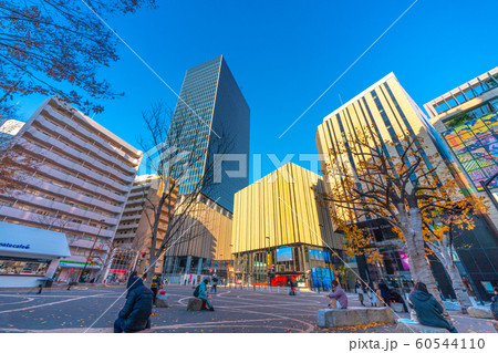 日本の東京都市景観 変貌する池袋・「ハレザ池袋」などを望む 日本の東京都市景観 変貌する池袋・「ハレザ池袋」などを望む 60544110