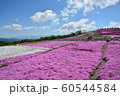 芝桜 60544584