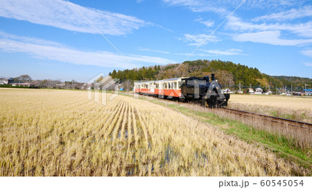 小湊鐵道の紅葉 60545054
