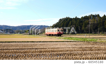小湊鐵道と紅葉 60545180