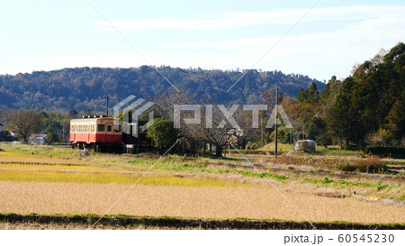 小湊鐵道と紅葉 60545230
