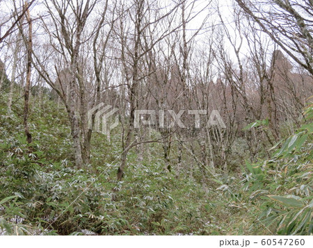 伯州山 伯州山 60547260