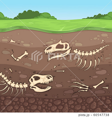 Archeology Bones Underground Dinosaur Bones のイラスト素材