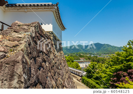 石垣と塀 福知山城 京都福知山市 60548125