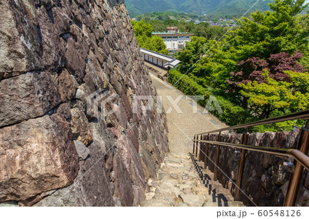 本丸の石垣 福知山城 京都福知山市 60548126
