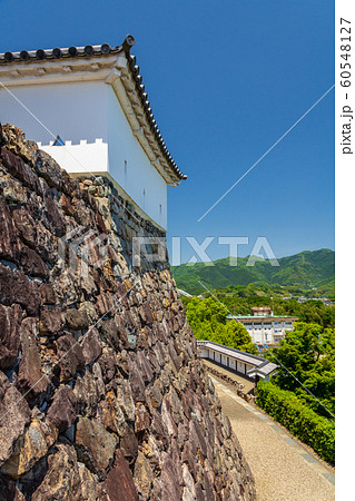 石垣と塀 福知山城 京都福知山市 60548127