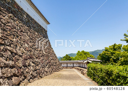 本丸下の高石垣 福知山城 京都福知山市 本丸下の高石垣 福知山城 京都福知山市 60548128