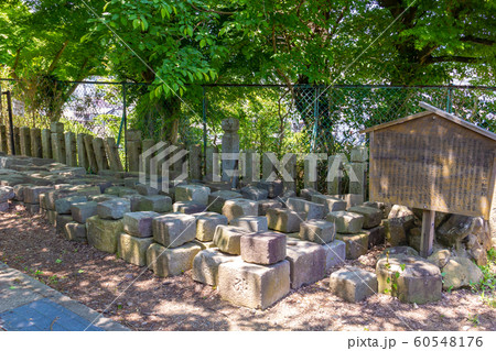 福知山城石垣の転用石 60548176