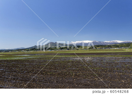 円田水田から望む蔵王連峰／宮城県蔵王町 60548268