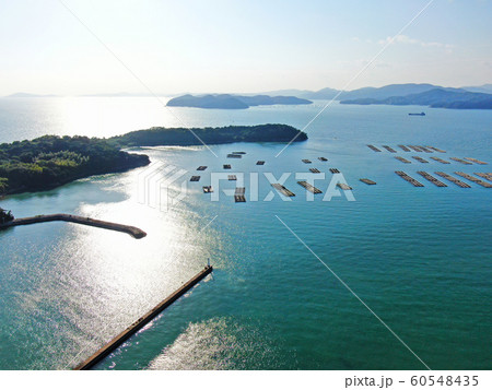 日生諸島　大多府島 60548435