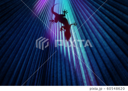 Lizard on Colorful Backlit background. Fashion 60548620