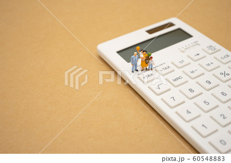 Family Miniature people Pay queue Annual income Family Miniature people Pay queue Annual income 60548883