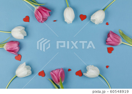 Frame made of colourful tulips 60548919