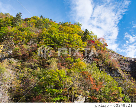 占冠村 赤岩青巌峡の紅葉 占冠村 赤岩青巌峡の紅葉 60549523