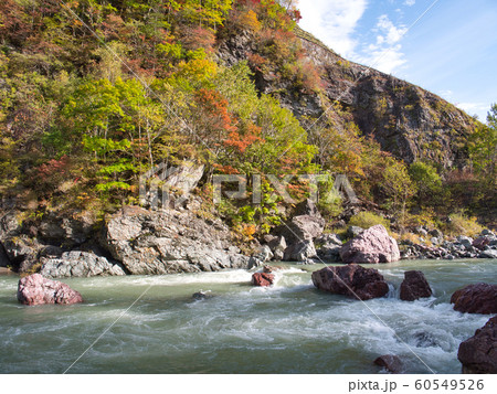 占冠村　赤岩青巌峡の紅葉 60549526
