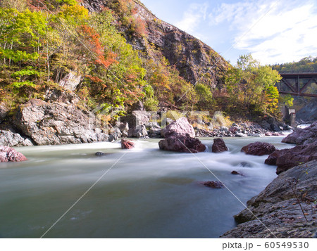 占冠村　赤岩青巌峡の紅葉 60549530