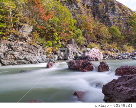 占冠村 赤岩青巌峡の紅葉 占冠村 赤岩青巌峡の紅葉 60549531