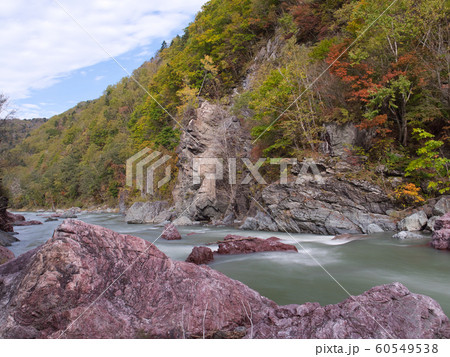 占冠村　赤岩青巌峡の紅葉 60549538
