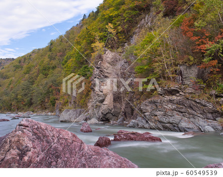 占冠村　赤岩青巌峡の紅葉 60549539