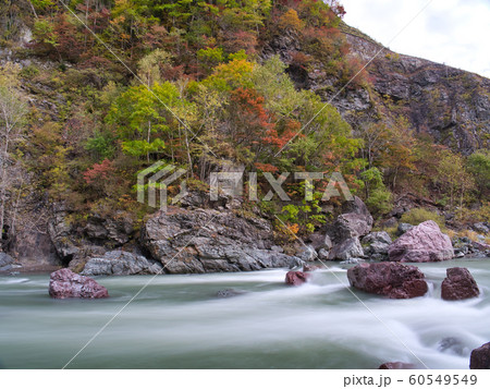 占冠村　赤岩青巌峡の紅葉 60549549