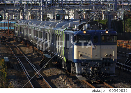 電気機関車牽引で都内へ向かう山手線(配給回送列車) 電気機関車牽引で都内へ向かう山手線(配給回送列車) 60549832