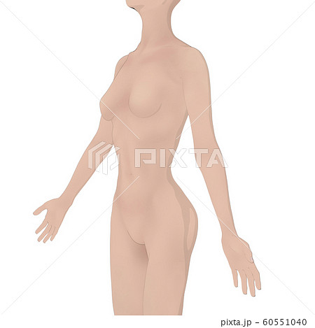 ボディーイラスト　女性ヌード　perming3DCGイラスト素材 60551040