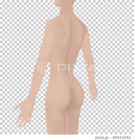 Body illustration female nude perming3DCG illustration material Body illustration female nude perming3DCG illustration material 60551042