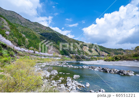 春の四万十川 60551221