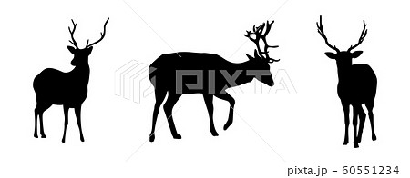 Deers silhouettes set isolated on white background. Vector illustration 60551234