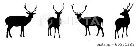 Deers silhouettes set isolated on white background. Vector illustration 60551235