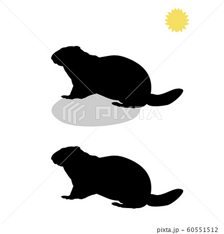 Holiday Groundhog Day. Falling shadow prediction of spring 60551512