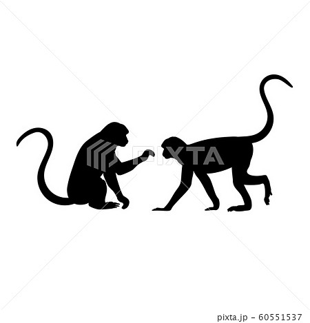 Silhouette Of Two Monkey Monkey Familyのイラスト素材