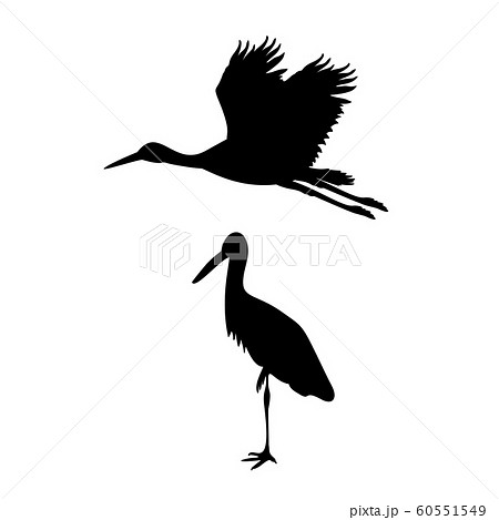 Silhouette Of Two Storks Animal Birds のイラスト素材