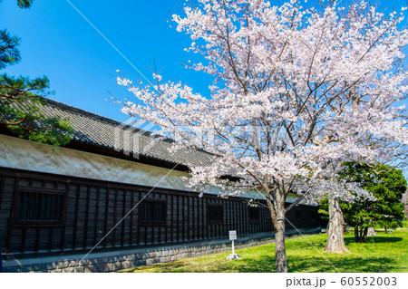 東京 皇居 乾通りの桜 通り抜け 門長屋 東京 皇居 乾通りの桜 通り抜け 門長屋 60552003