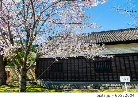 東京 皇居　乾通りの桜 通り抜け　門長屋 60552004