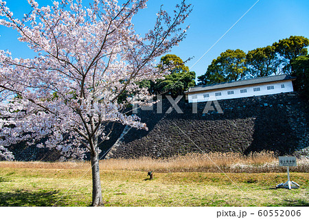 東京 皇居　乾通りの桜 通り抜け　富士見櫓と蓮池濠 60552006