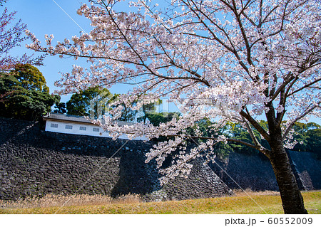 東京 皇居 乾通りの桜 通り抜け 富士見櫓と蓮池濠 東京 皇居 乾通りの桜 通り抜け 富士見櫓と蓮池濠 60552009