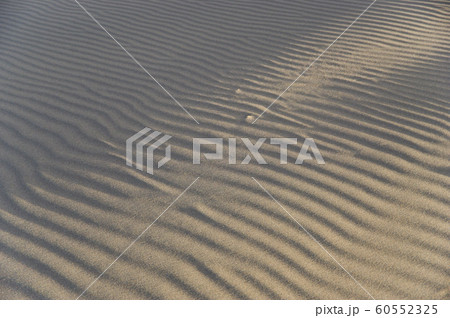 砂漠の風紋 60552325