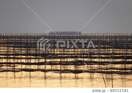 大牟田市 三池港 三池島、 大牟田市 三池港 三池島、 60552581