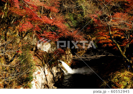晩秋の花貫渓谷の紅葉 晩秋の花貫渓谷の紅葉 60552945