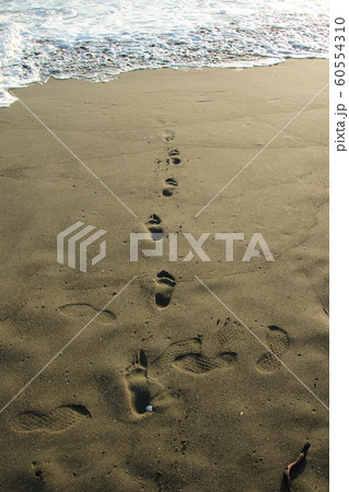砂浜の足跡 60554310