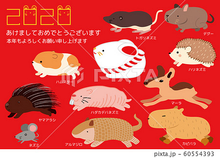 年賀状 2020年 ねずみ年 子年 カピバラ ハダカデバネズミ ヤマアラシ イラスト 60554393
