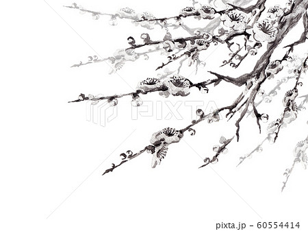 梅の花線画 モノクロ1のイラスト素材