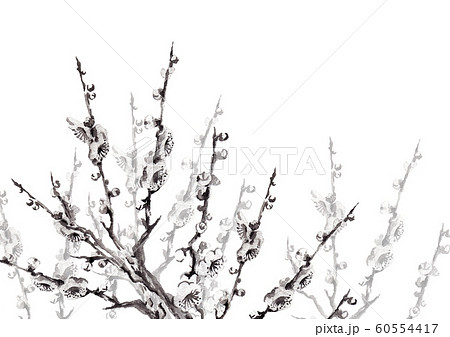 梅の花モノクロ3のイラスト素材