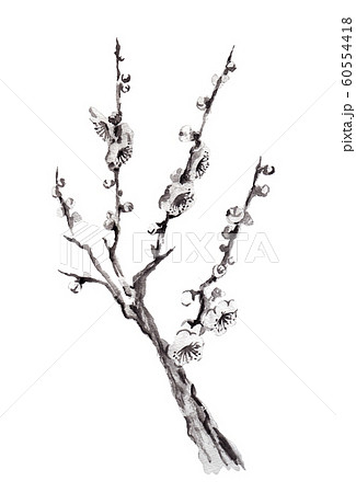 梅の花 手描きモノクロ4のイラスト素材