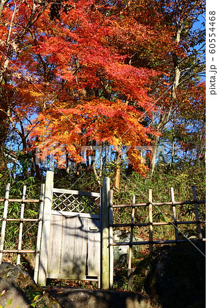 紅葉 成田山新勝寺 龍智の池の写真素材