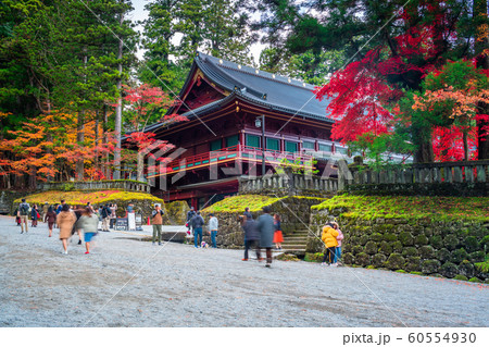 栃木　日光山輪王寺　大護摩堂の紅葉 60554930