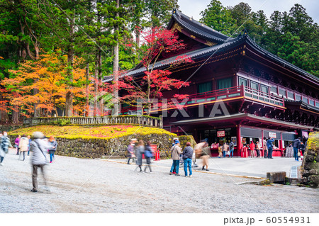 栃木　日光山輪王寺　大護摩堂の紅葉 60554931