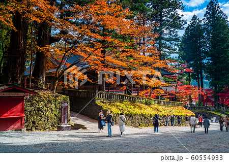 栃木　日光山輪王寺　大護摩堂の紅葉 60554933