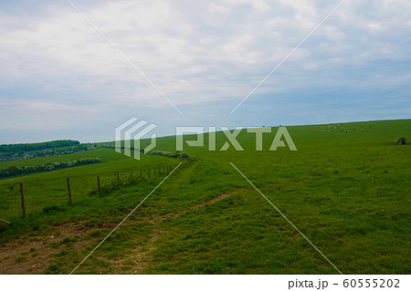 イギリス 南部の田園風景 イギリス 南部の田園風景 60555202